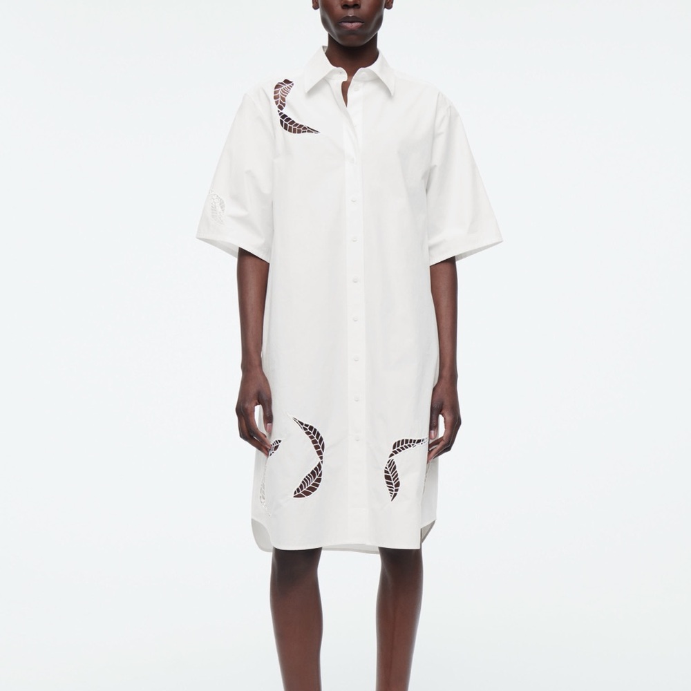 Cos Shirt dress